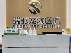 -瑞派康怡24h宠物医院·犬猫医疗中心·微创绝育(瑞景分院)