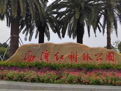 -宝安西湾红树林湿地公园