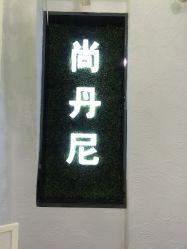-尚·丹尼Hair