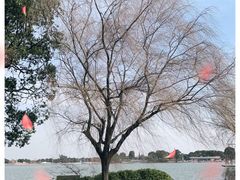 -上海月湖雕塑公园