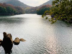-白马涧龙池景区