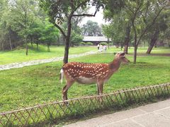 -承德避暑山庄景区