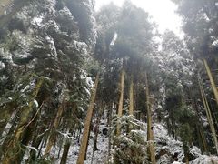 -太阳湾风景区