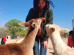 -北京麋鹿生态实验中心