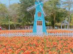 -龙凤山庄影视度假村