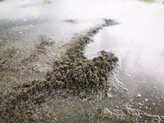 -钟山体育运动公园