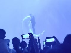 -多彩贵州城极地海洋世界