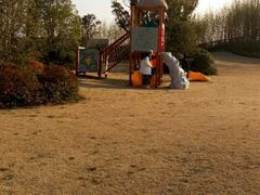 android_upload_pic-上海崇明金茂凯悦酒店