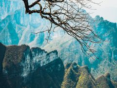 -张家界天门山国家森林公园