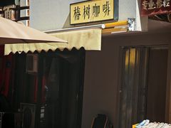 -椿树咖啡