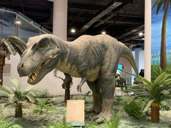 -辽宁古生物博物馆