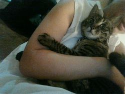 -榕树上·瑜伽普拉提