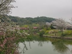 -苏州上方山国家森林公园