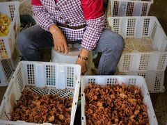 -双喜农庄·菌香园(安居家园店)