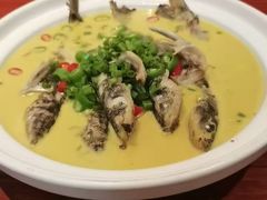 -大班家政月嫂育儿嫂(深圳NO.1店)