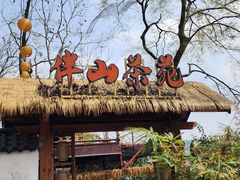-伴山茶苑·围炉煮茶