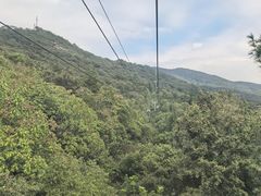 -紫金山索道-售票处