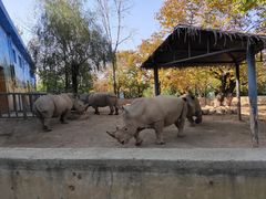 -西安秦岭野生动物园