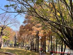 -四海公园(南山区)