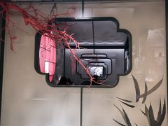 大堂-竹外桃花·江南小酒馆(SKP·S店)