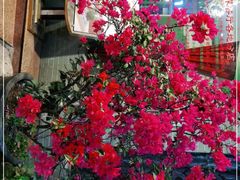 -新粤新疆菜(禅城店)