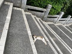 -广州市白云山风景名胜区