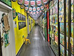 -杨梅红艺术教育(凤城教学中心)