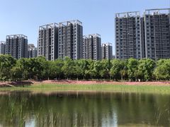 -天鹅湖体育公园