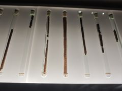 -银雀山汉墓竹简博物馆