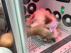 -FAELING PETS美天灵宠物(富力广场店)