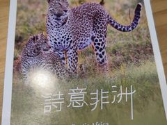-好利来(梅江永旺店)