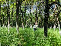 -艾溪湖湿地公园