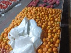 -古茗(海宁人民广场店)