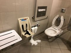 Wc-上海迪士尼度假区