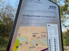 -桤木河湿地公园