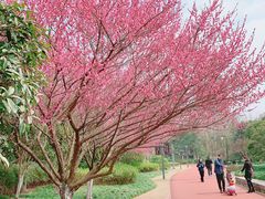 -杭州城北体育公园