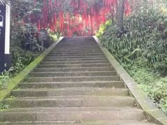 -窦圌山风景区