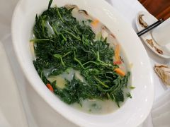 上汤辣椒叶-朱仔记食府(江南大道店)