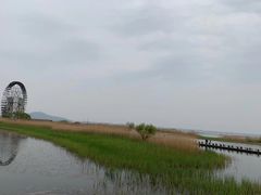 -太湖湖滨国家湿地公园-停车场