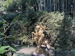 -杭州黄龙洞