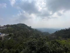 -山景山庄