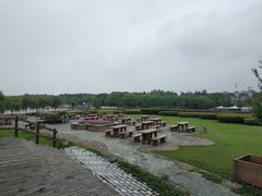 -东方绿舟景区