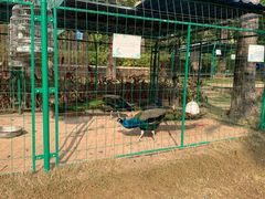 -西双版纳融创皇冠假日度假酒店