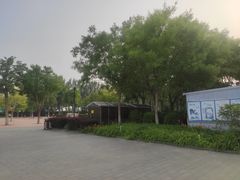 -廊坊文化艺术中心