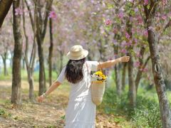 -广东花都湖国家湿地公园