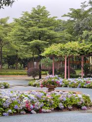 -广州市儿童公园