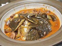 -洞庭家宴·头牌甲鱼(广渠门店)