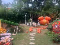 -HERRE·FARM 赫尔露营农场·团建聚会包场