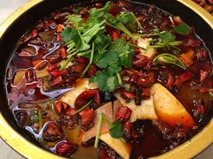 精品毛血旺-成都驻京办餐厅(蜀都宾馆店)