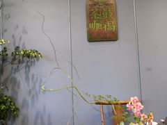 -菩提树下茶咖鼓捣